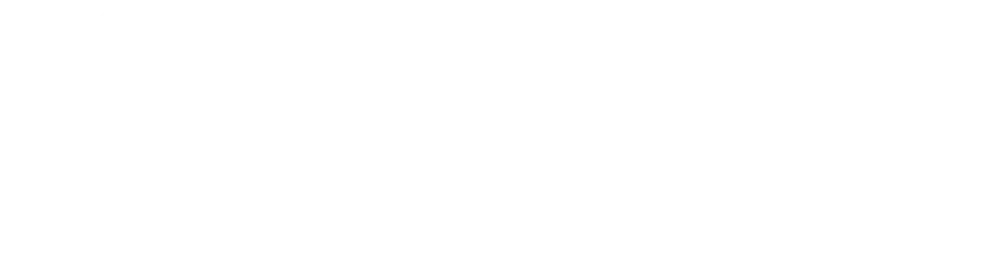 Danmedics Medical Engineering GmbH