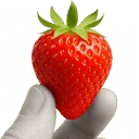 Klara-Röhrscheidt-Haus Logo