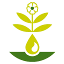 Homviora Arzneimittel Dr. Hagedorn GmbH & Co. KG