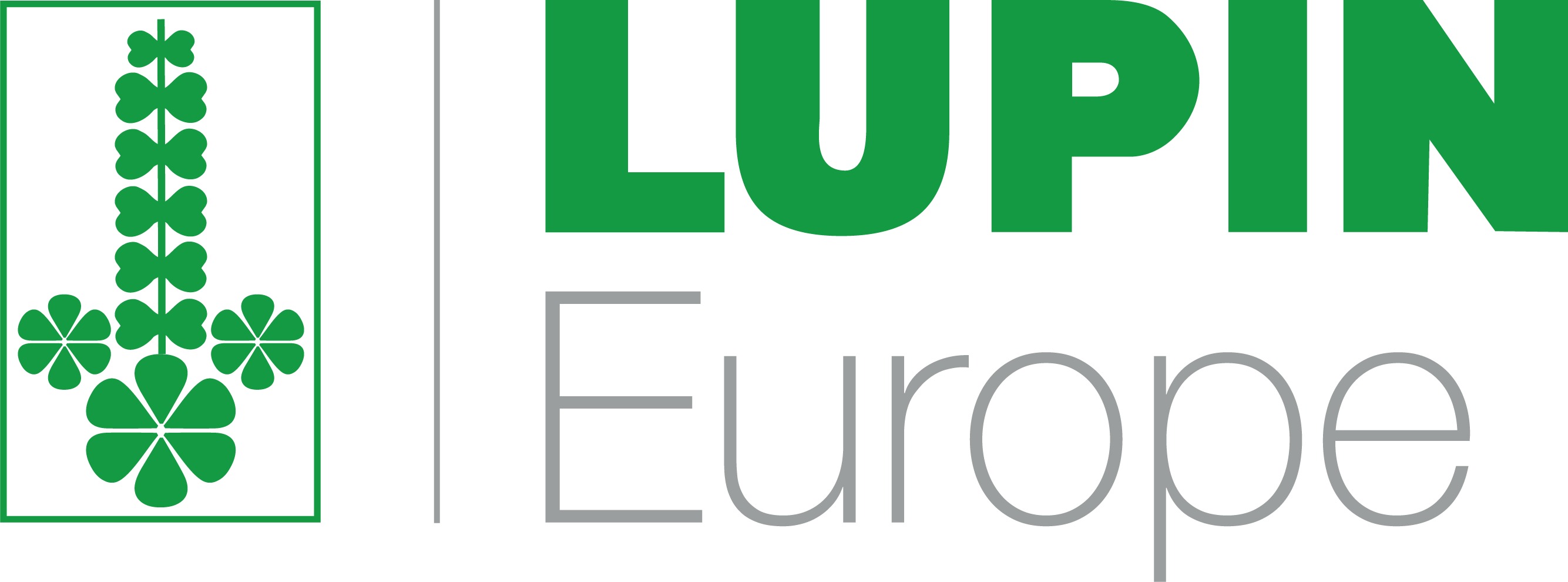 Lupin Europe GmbH