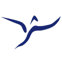 Phoenix Instrument GmbH Logo